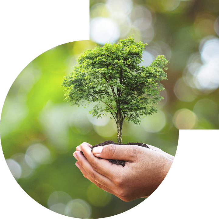 关怀人类、文化、环境与社会